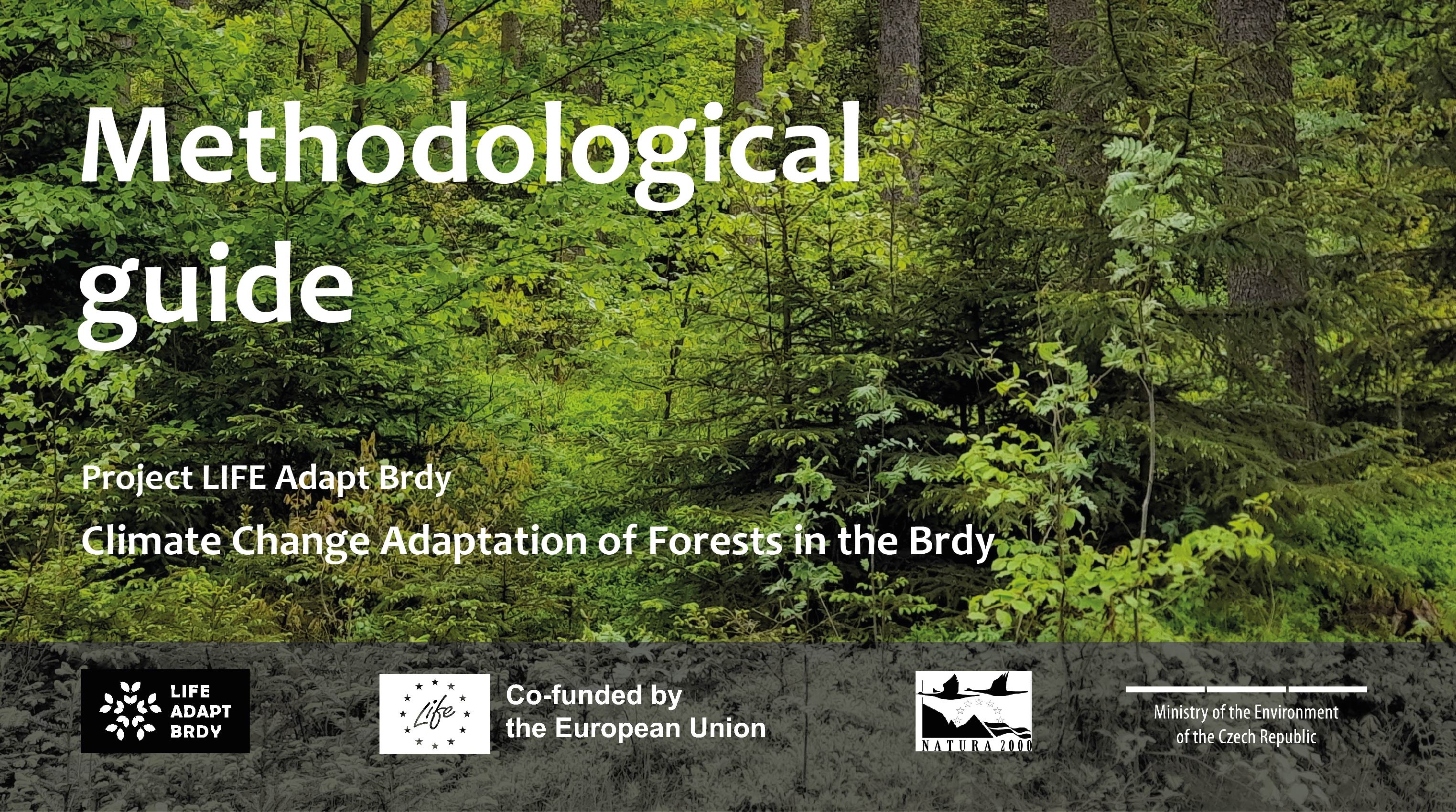 Methodological guide